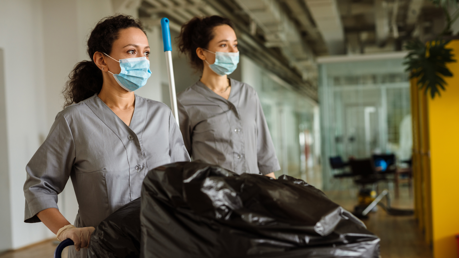 Banner image for Cleaning Tasks and Products and Asthma Among Health Care Professionals