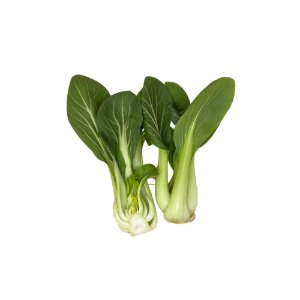 Illustration of SPH - Dell - Nourish - Garden - Bok Choy