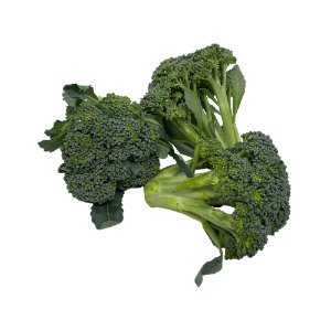 Illustration of SPH - Dell - Nourish - Garden - Broccoli