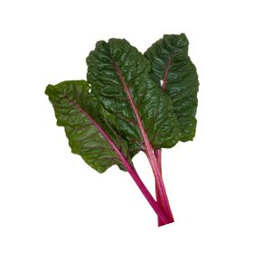 Illustration of SPH - Dell - Nourish - Garden - Swiss Chard