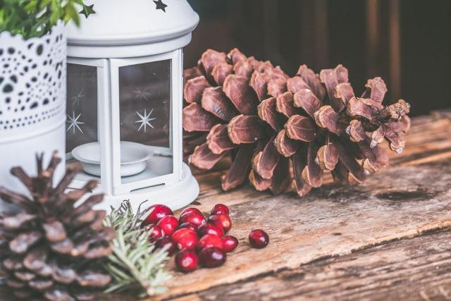 Pine cone and red berries