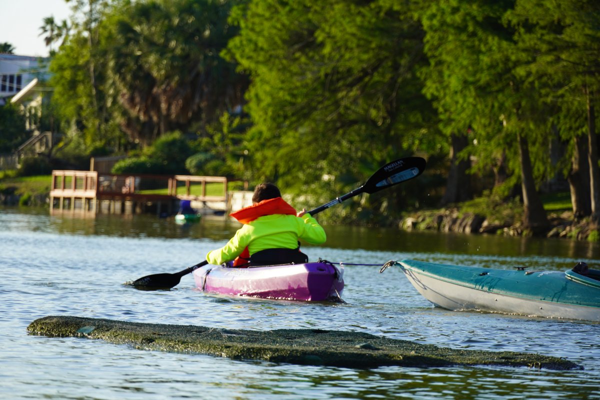 Kayaking at Dean Porter Park