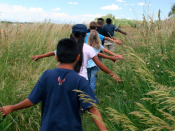 Austin Parks Department gets grant to study health, climate change