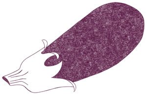 Illustration of SPH-Dell-Nourish-Garden-Eggplant