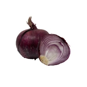 Illustration of SPH-Dell-Nourish-Garden-Red Onion