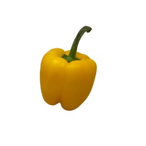 Illustration of SPH - Dell - Nourish - Garden - Bell Pepper