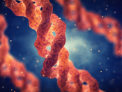 What is collagen?
