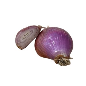 Illustration of SPH - Dell - Nourish - Garden - Shallot