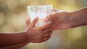Survey says: 86% of US adults prefer dairy milk