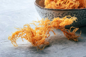 Diana Guevara, MPH, RD, talked to NPR about the benefits of sea moss.