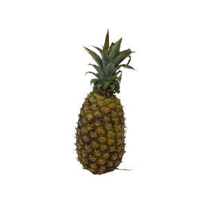 Illustration of SPH - Dell - Nourish - Garden - Pineapple