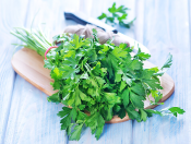 10 nutritious herbs you should add to your diet now