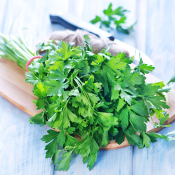 10 nutritious herbs you should add to your diet now