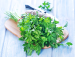 Thumbnail image for 10 nutritious herbs you should add to your diet now