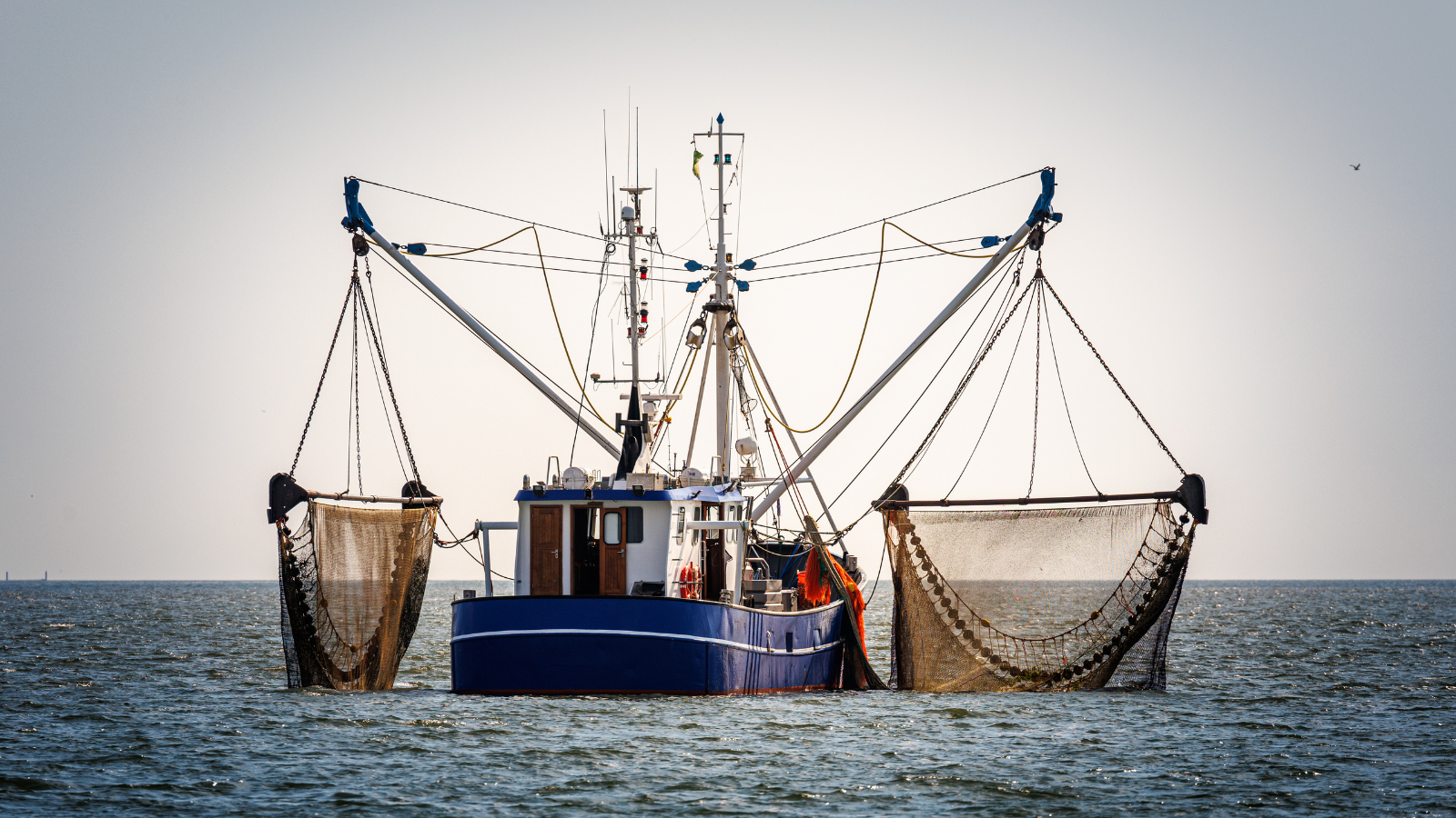 Banner image for Addressing health disparities among commercial fishermen by implementing a community-based intervention