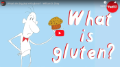 What You Must Know About Gluten