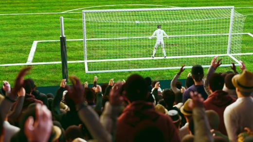 Image of soccer pitch with fans in main focus and goalie and post in foreground.