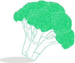 Illustration of SPH - Dell - Nourish - Garden - Broccoli