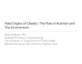 Thumbnail image for the Fetal Origins of Obesity: The Role of Nutrition and the Environment webinar