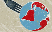 How 11 Popular Diets Affect the Environment