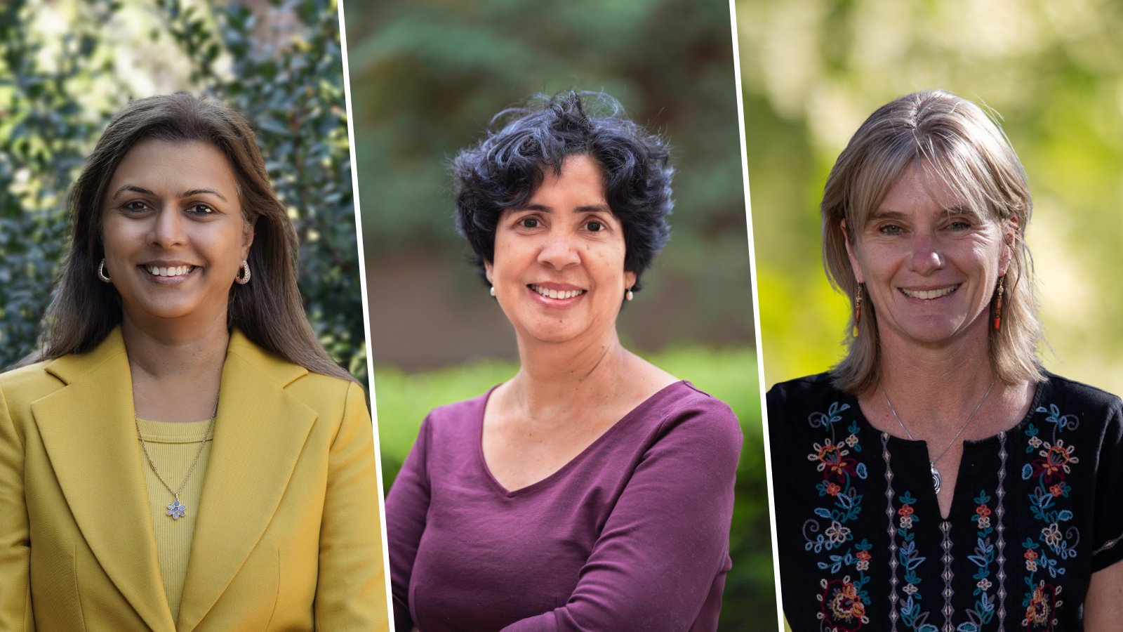 Shreela Sharma, PhD, RDN, LD; Nalini Ranjit, PhD; and Alexandra van den Berg, PhD, MPH, to lead $1.2 million award from American Heart Association.