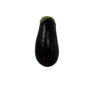 Illustration of SPH-Dell-Nourish-Garden-Eggplant