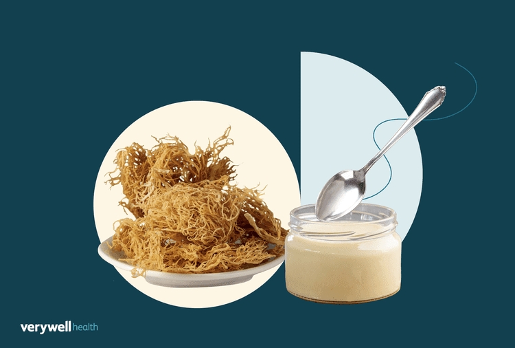 Is Sea Moss Really a De-Bloating, Energy-Boosting Superfood? Dietitians Explain
