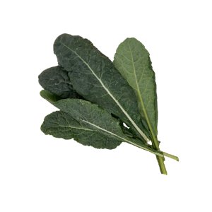Illustration of SPH-Dell-Nourish-Garden-Kale