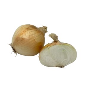 Illustration of SPH - Dell - Nourish - Garden - Onion