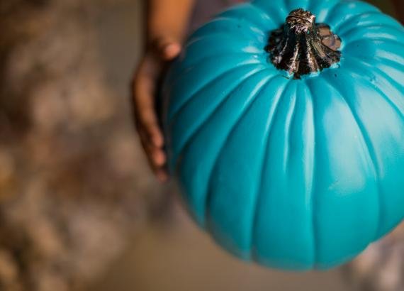 Teal pumpkin in hands