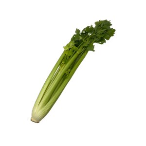 Illustration of SPH - Dell - Nourish - Garden - Celery