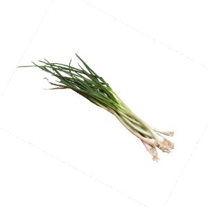 Illustration of SPH - Dell - Nourish - Garden - Green Onions