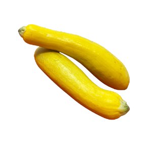 Illustration of SPH - Dell - Nourish - Garden - Yellow Squash