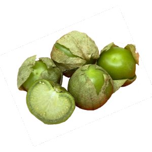 Illustration of SPH - Dell - Nourish - Garden - Tomatillos