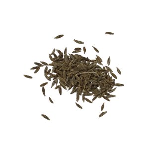 Illustration of SPH - Dell - Nourish - Garden - Cumin