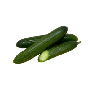 Illustration of SPH- Dell- Nourish- Garden-Cucumber