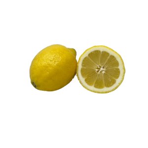 Illustration of SPH - Dell - Nourish - Garden - Lemon