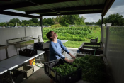How a burgeoning program at Harris Health uses food to address chronic illness