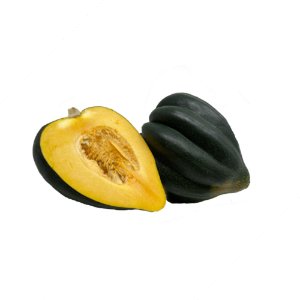 Illustration of SPH - Dell - Nourish - Garden - Winter Squash