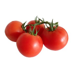 Illustration of SPH - Dell - Nourish - Garden - Tomato