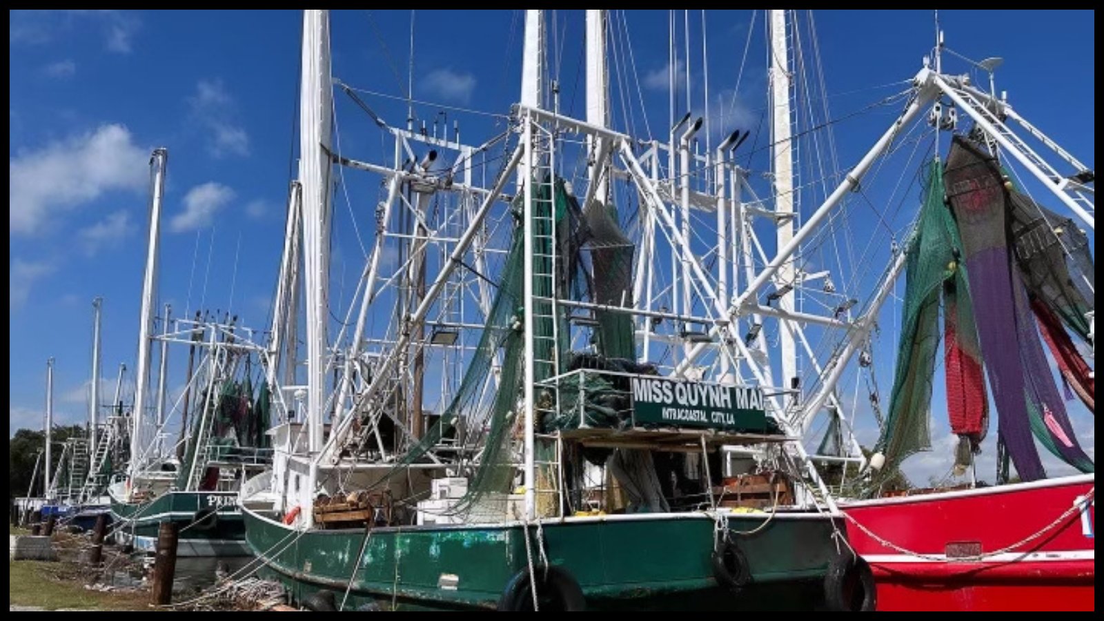 Guillot-Wright, Davis launch new fishermen research in Louisiana