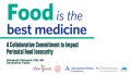 Thumbnail image for the Food is the Best Medicine A hospital based food access initiative for new mothers webinar