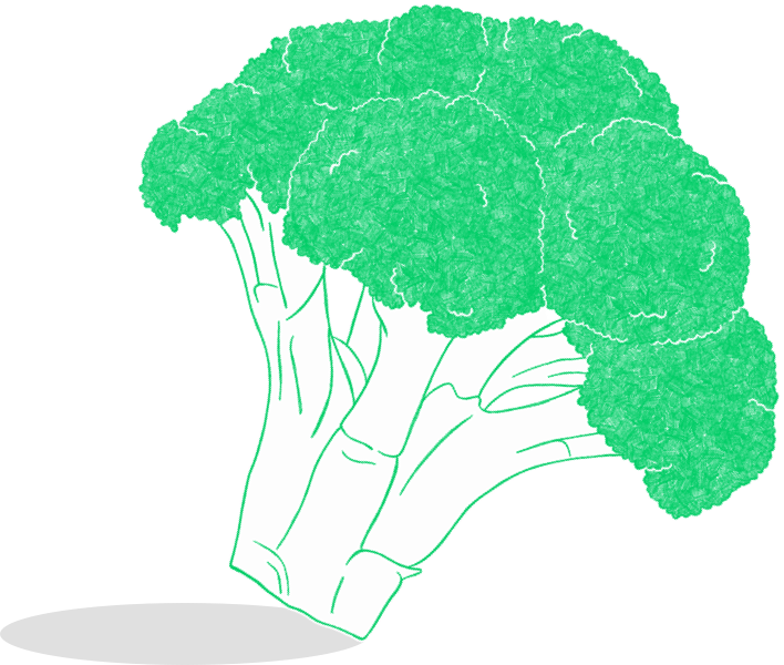 Illustration of broccoli