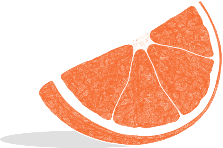 Illustration of an orange slice