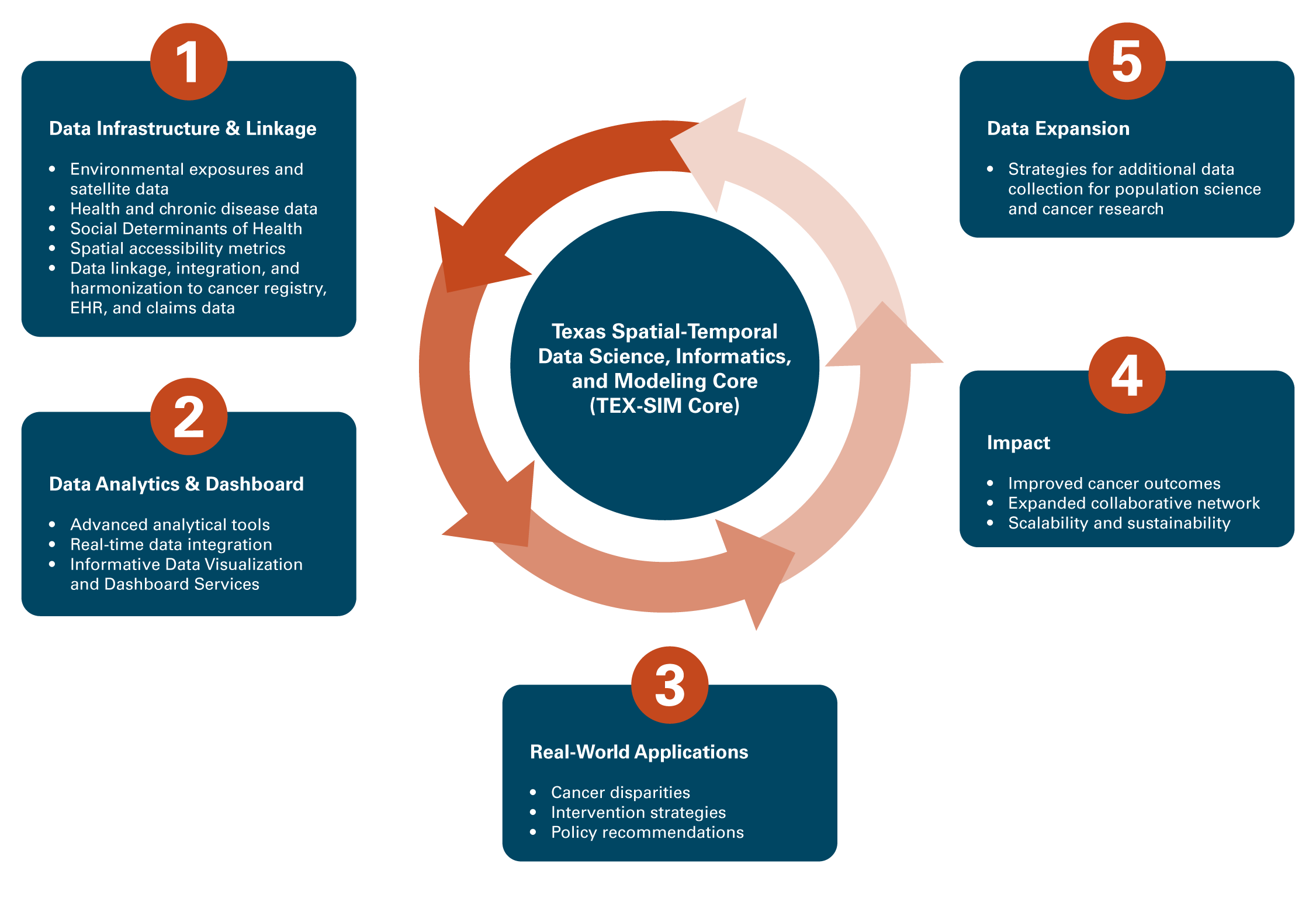 TEX-SIM Workflow