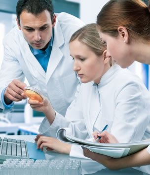 People Working in Lab