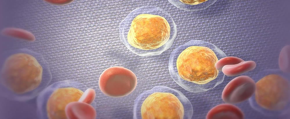 cell stem cell