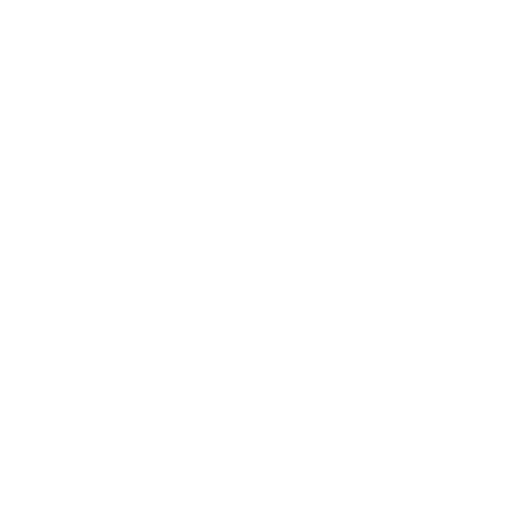 connection icon