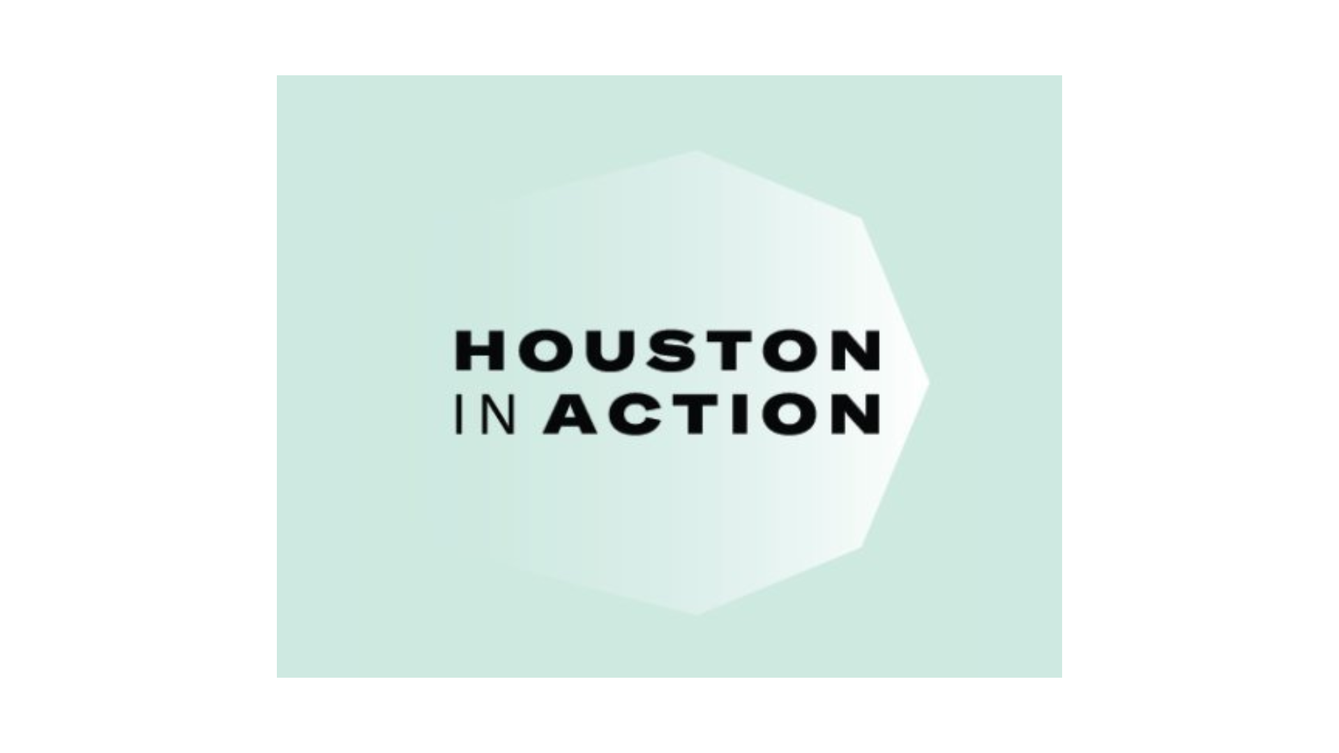 houston-in-action