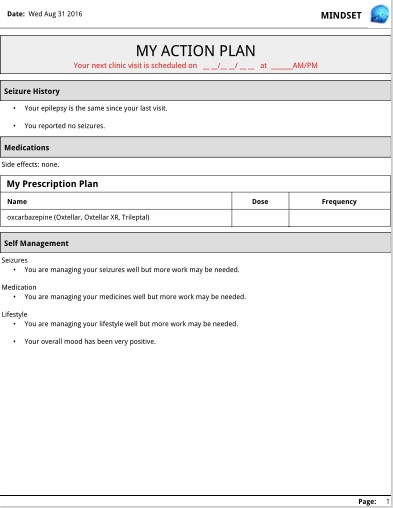 Figure 5. Action Plan printout